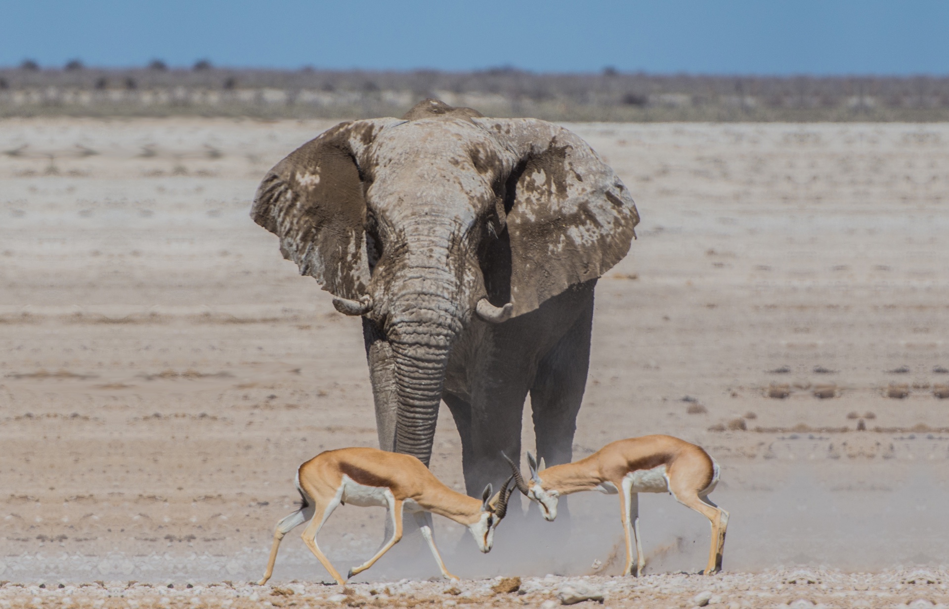 Transparante en toegewijde beleving
